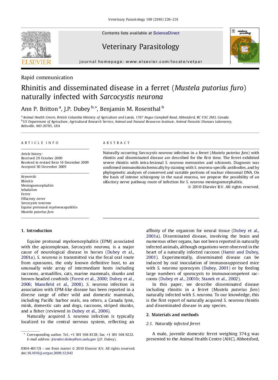 Rhinitis and disseminated disease in a ferret (Mustela putorius furo) naturally infected with Sarcocystis neurona