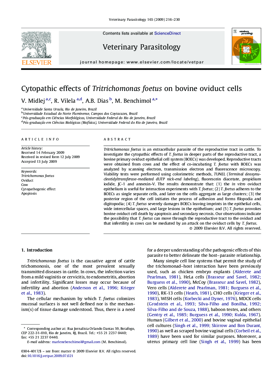 Cytopathic effects of Tritrichomonas foetus on bovine oviduct cells