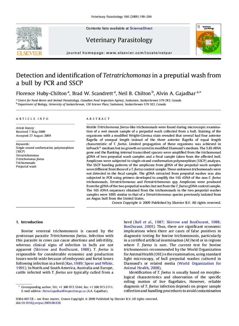 Detection and identification of Tetratrichomonas in a preputial wash from a bull by PCR and SSCP