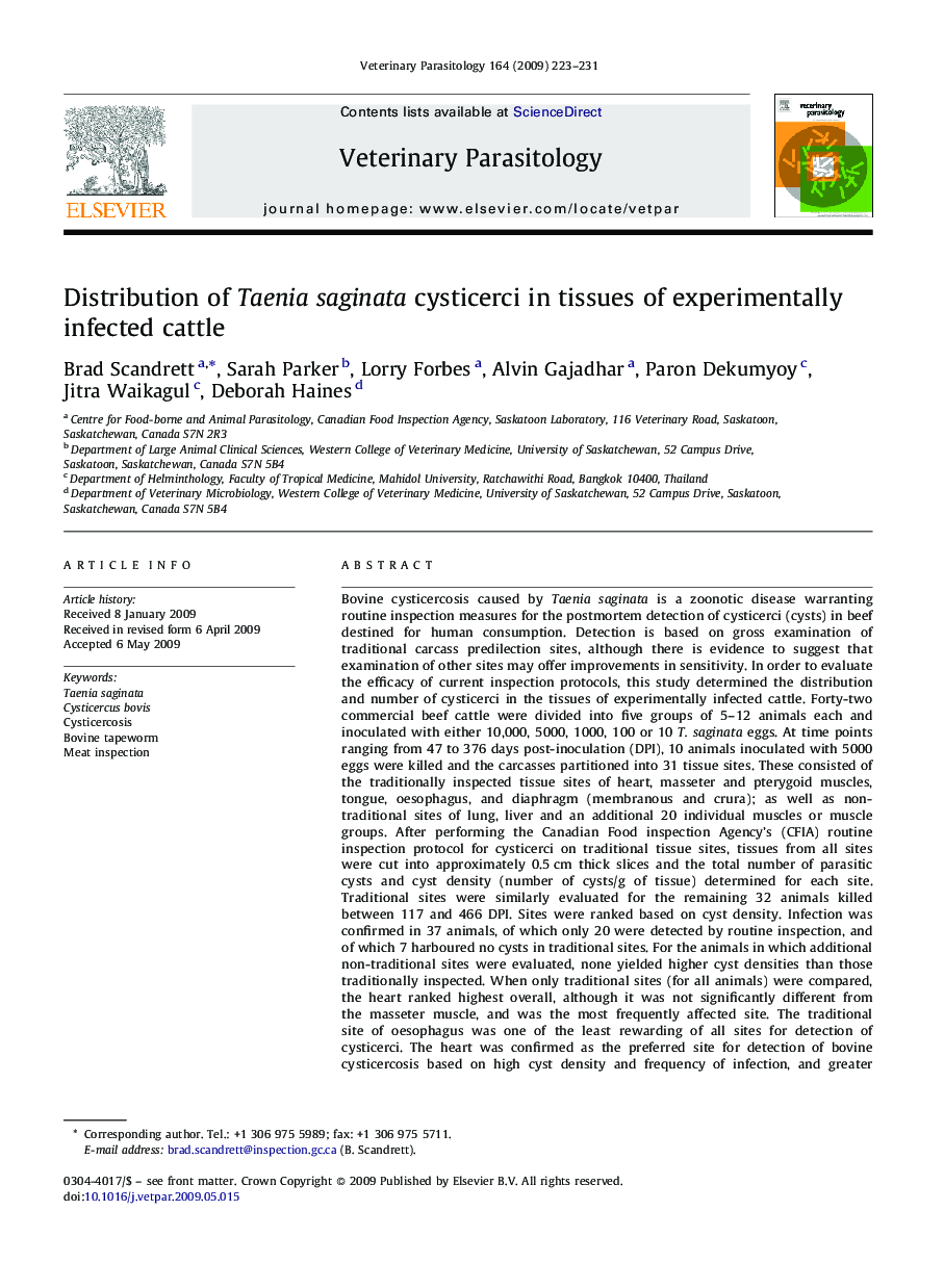 Distribution of Taenia saginata cysticerci in tissues of experimentally infected cattle