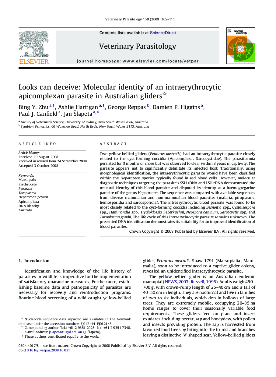 Looks can deceive: Molecular identity of an intraerythrocytic apicomplexan parasite in Australian gliders 