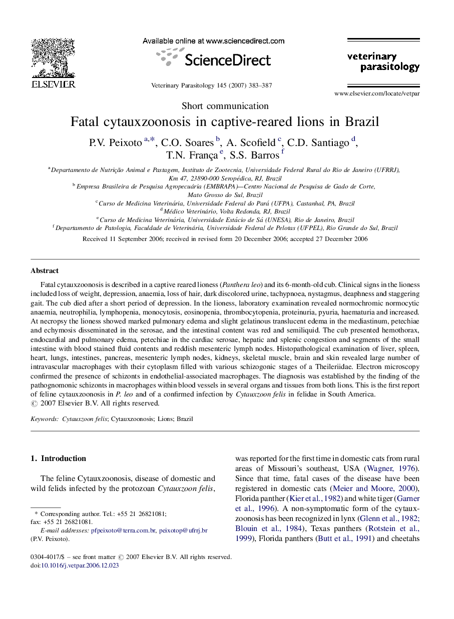 Fatal cytauxzoonosis in captive-reared lions in Brazil