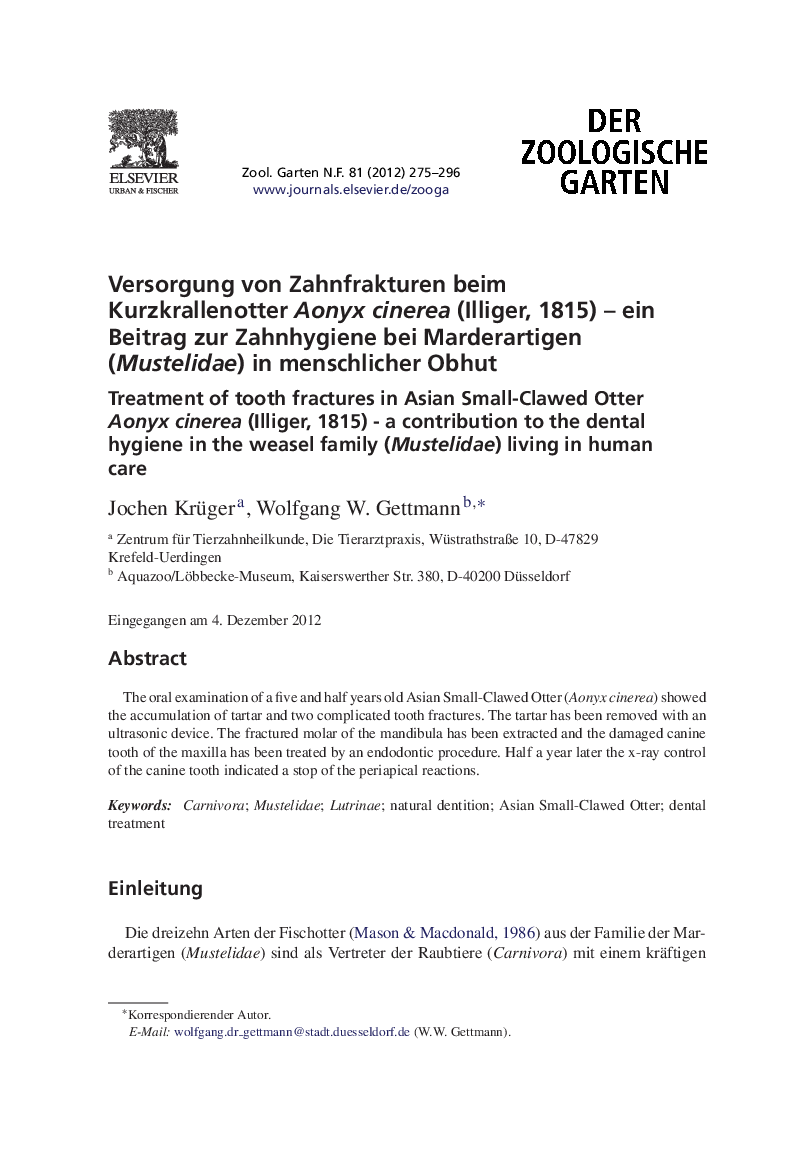 Versorgung von Zahnfrakturen beim Kurzkrallenotter Aonyx cinerea (Illiger, 1815) – ein Beitrag zur Zahnhygiene bei Marderartigen (Mustelidae) in menschlicher Obhut