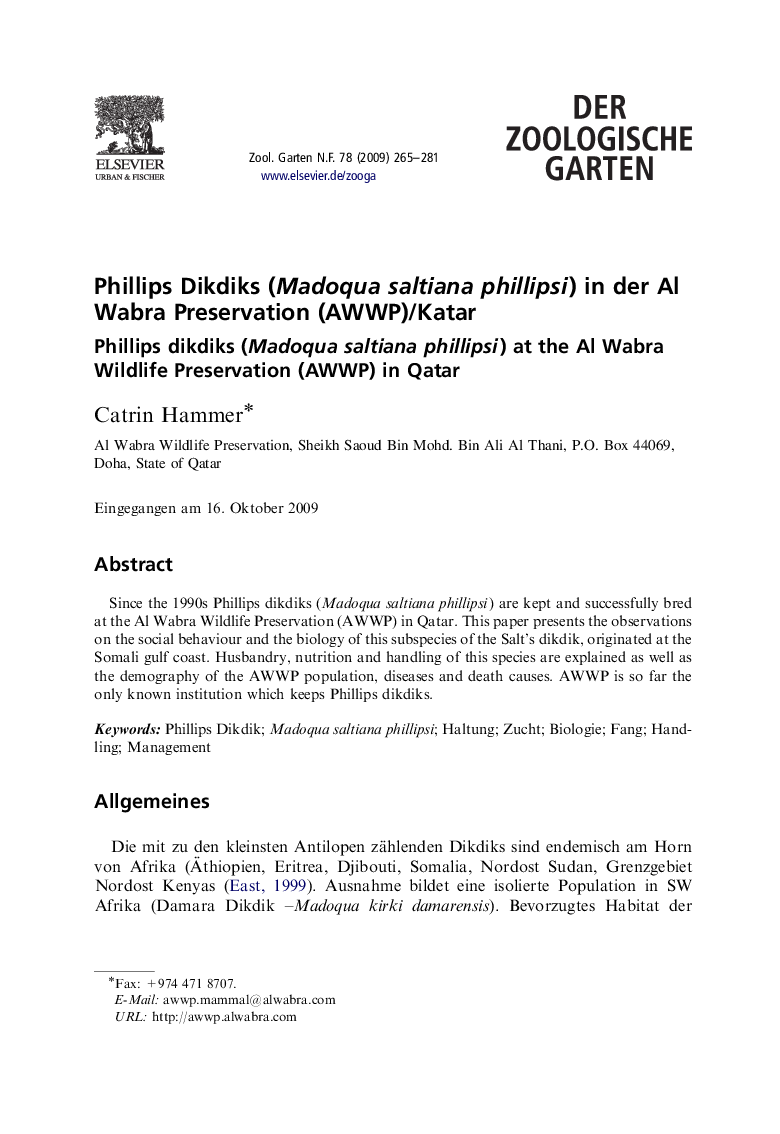 Phillips Dikdiks (Madoqua saltiana phillipsi) in der Al Wabra Preservation (AWWP)/Katar