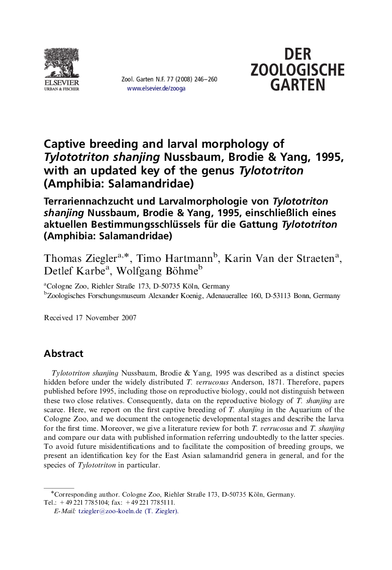 Captive breeding and larval morphology of Tylototriton shanjing Nussbaum, Brodie & Yang, 1995, with an updated key of the genus Tylototriton (Amphibia: Salamandridae)