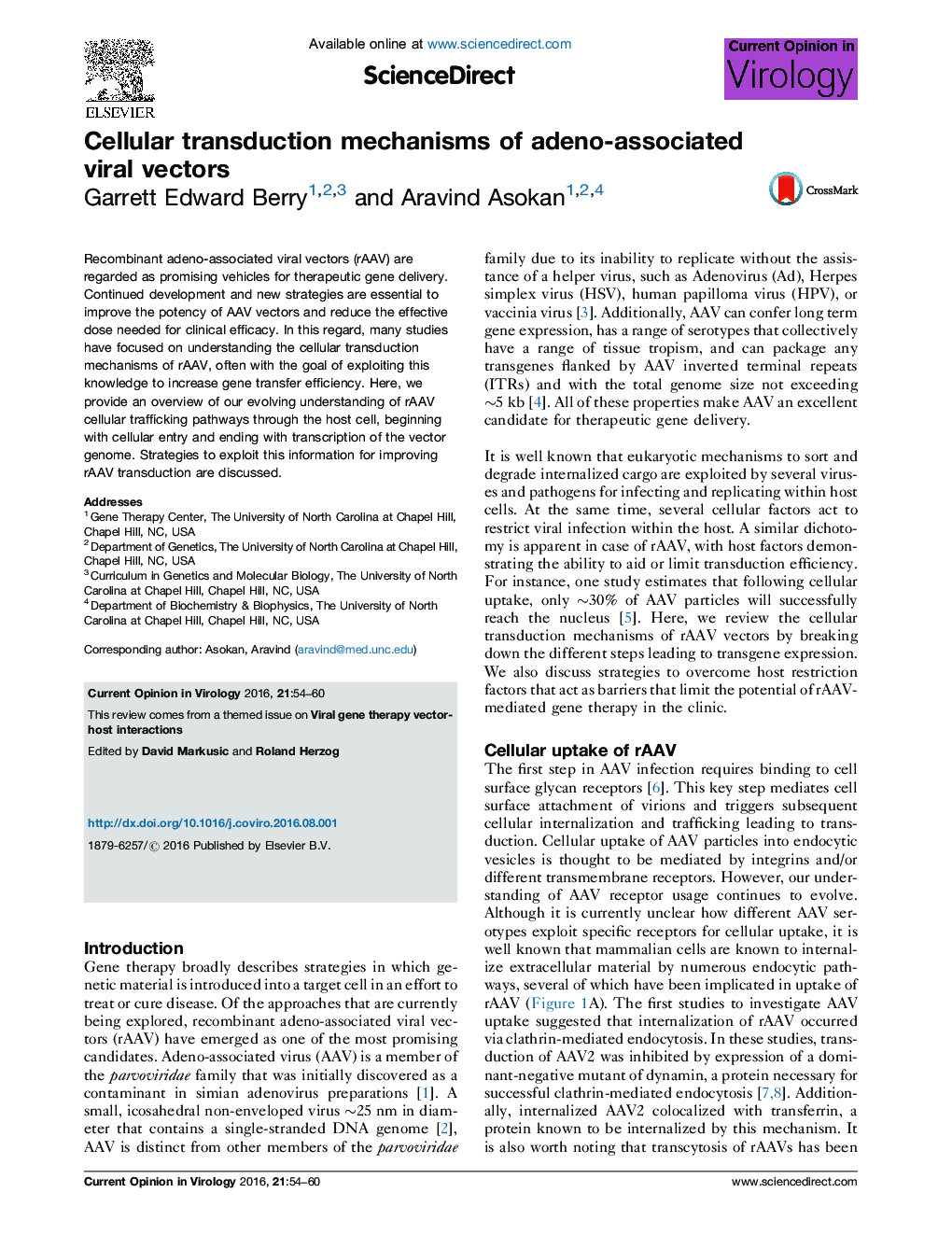 Cellular transduction mechanisms of adeno-associated viral vectors