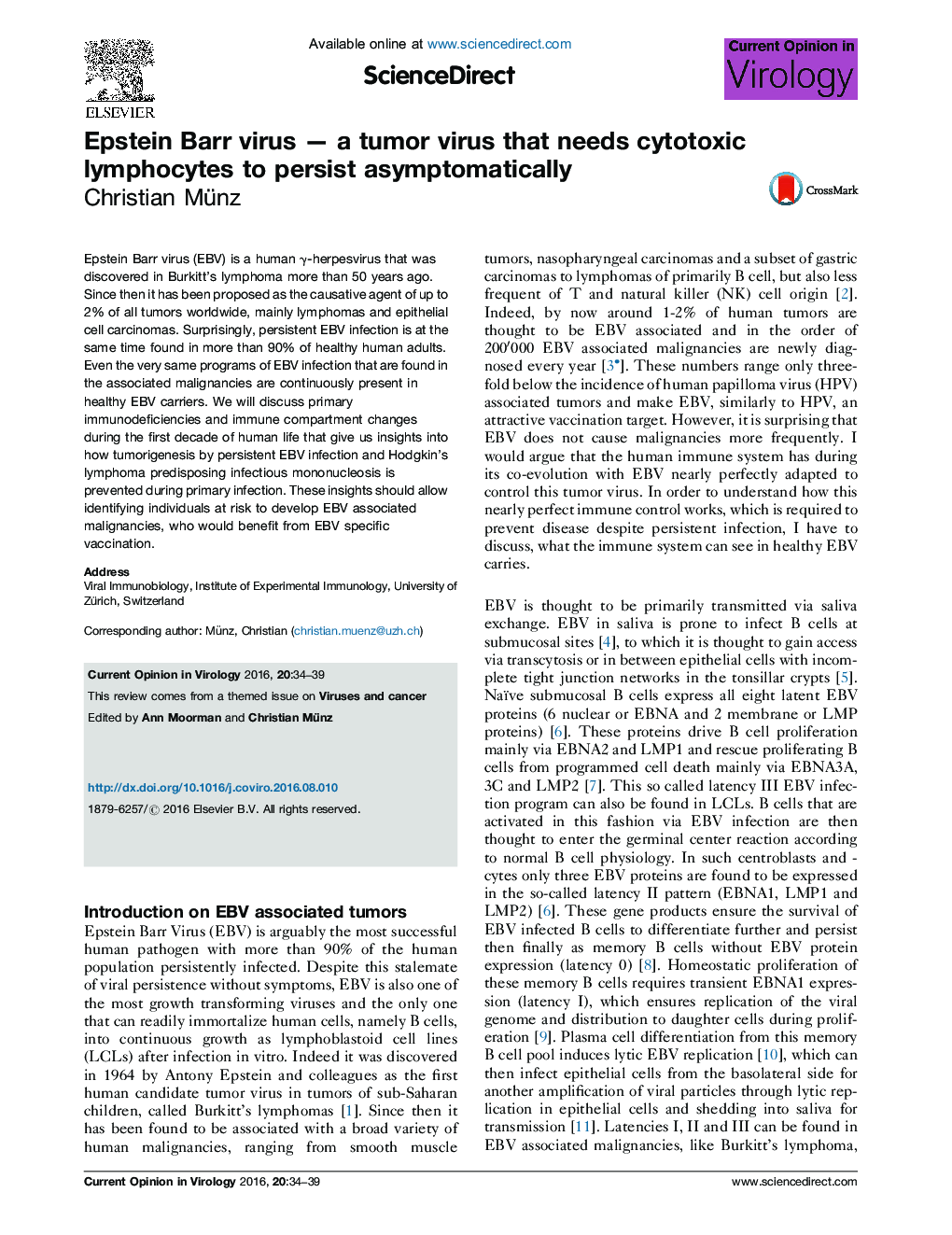 Epstein Barr virus — a tumor virus that needs cytotoxic lymphocytes to persist asymptomatically