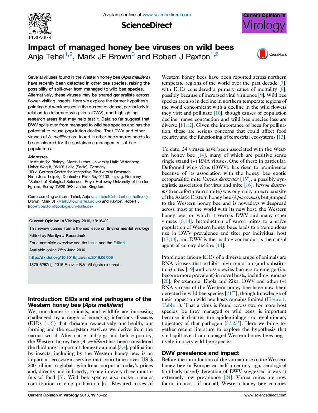 Impact of managed honey bee viruses on wild bees