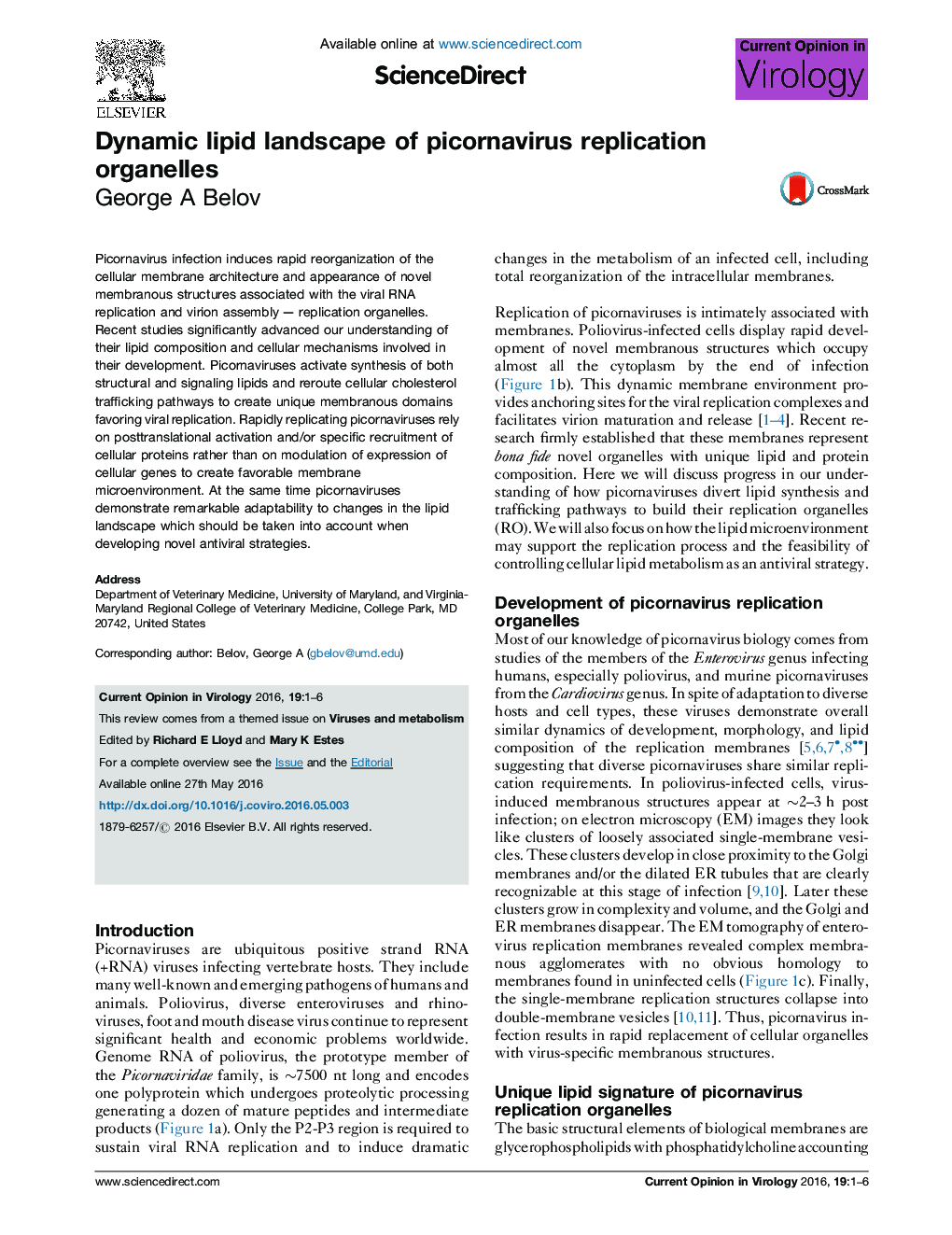 Dynamic lipid landscape of picornavirus replication organelles