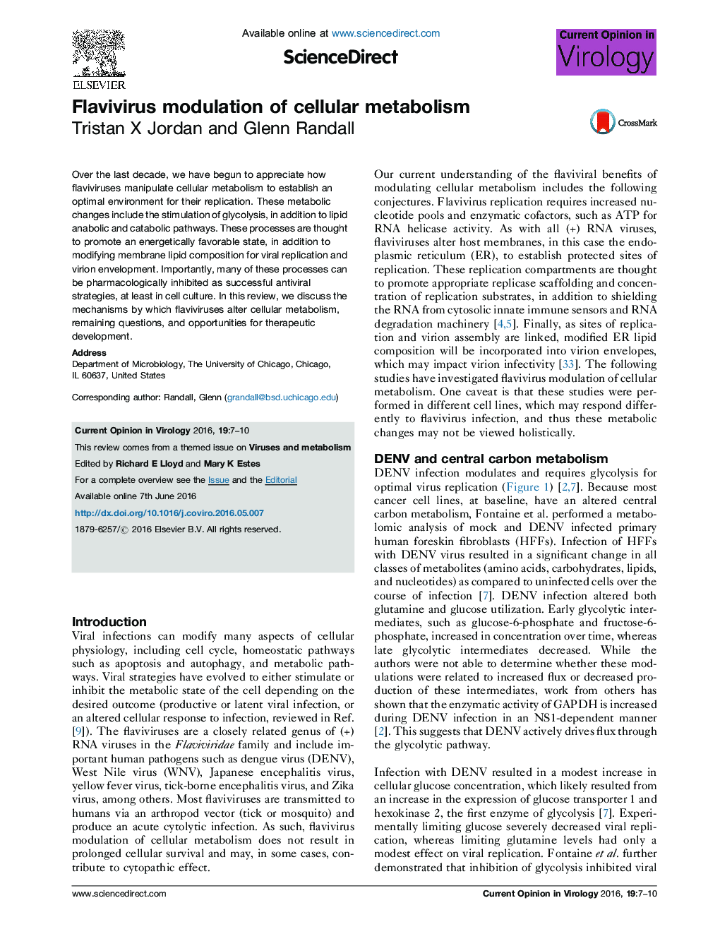 Flavivirus modulation of cellular metabolism