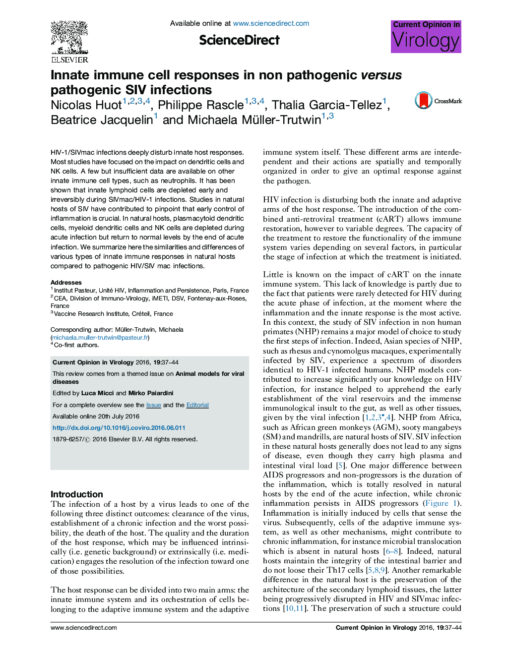 Innate immune cell responses in non pathogenic versus pathogenic SIV infections