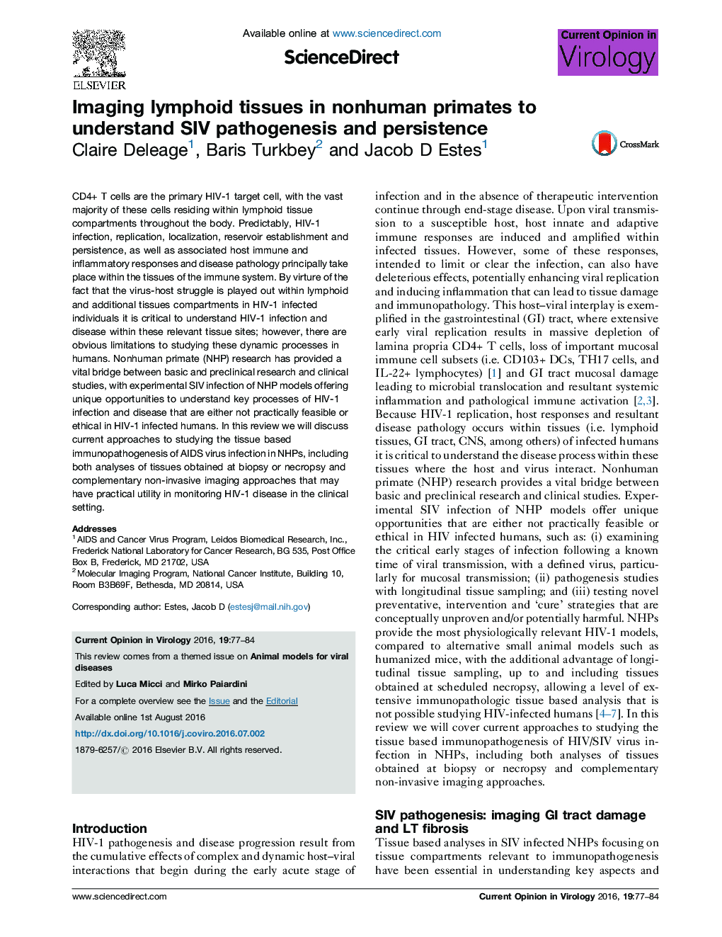 Imaging lymphoid tissues in nonhuman primates to understand SIV pathogenesis and persistence