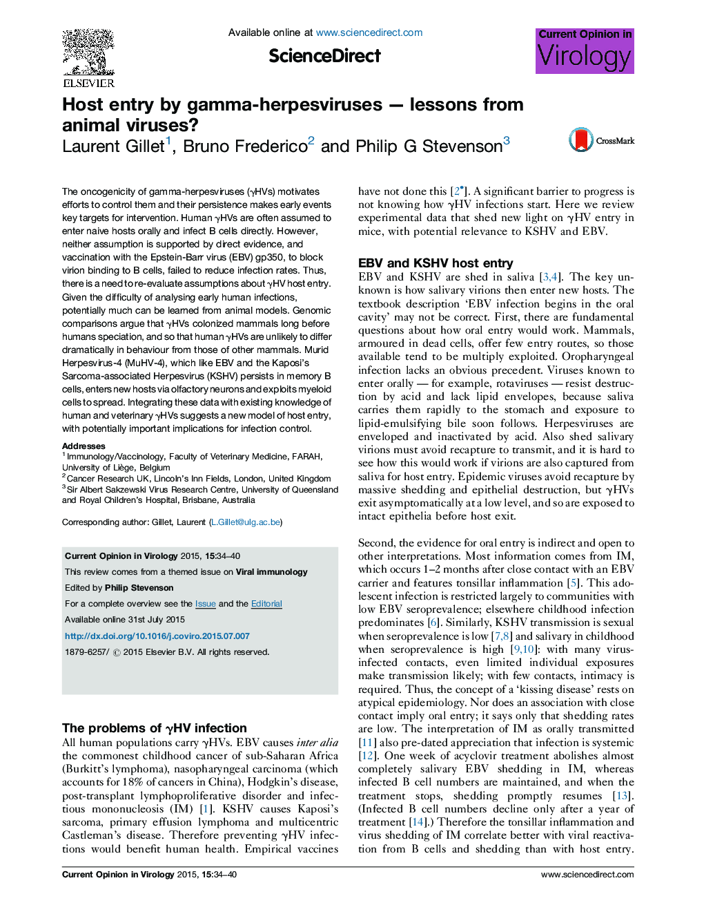 Host entry by gamma-herpesviruses — lessons from animal viruses?