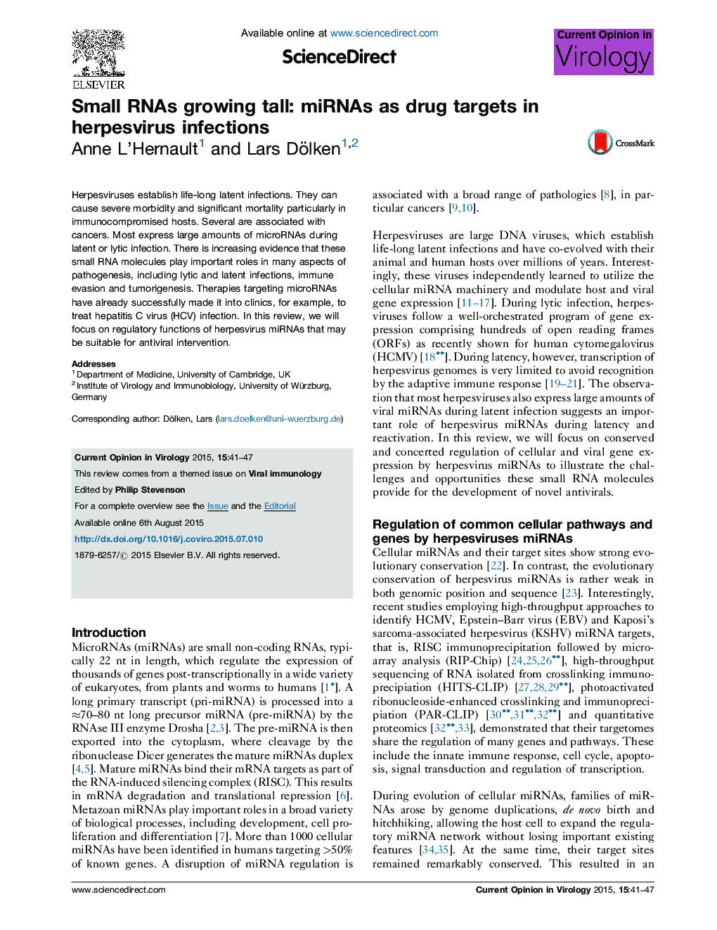 Small RNAs growing tall: miRNAs as drug targets in herpesvirus infections