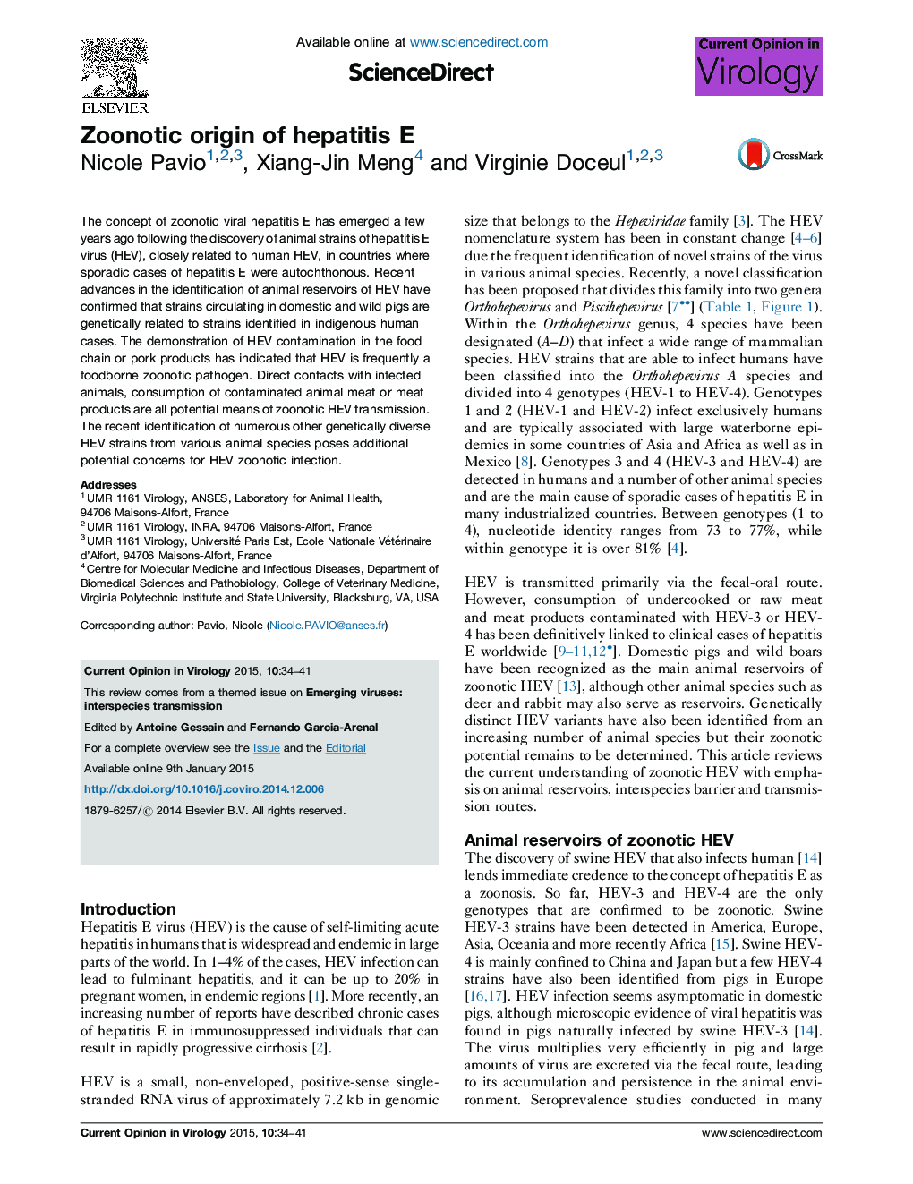 Zoonotic origin of hepatitis E