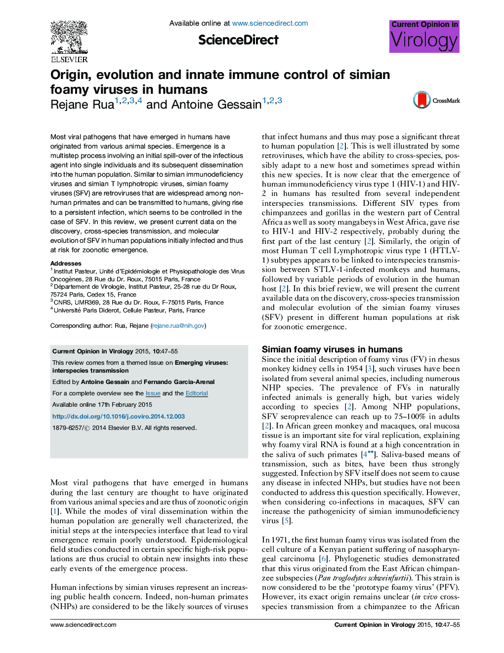 Origin, evolution and innate immune control of simian foamy viruses in humans