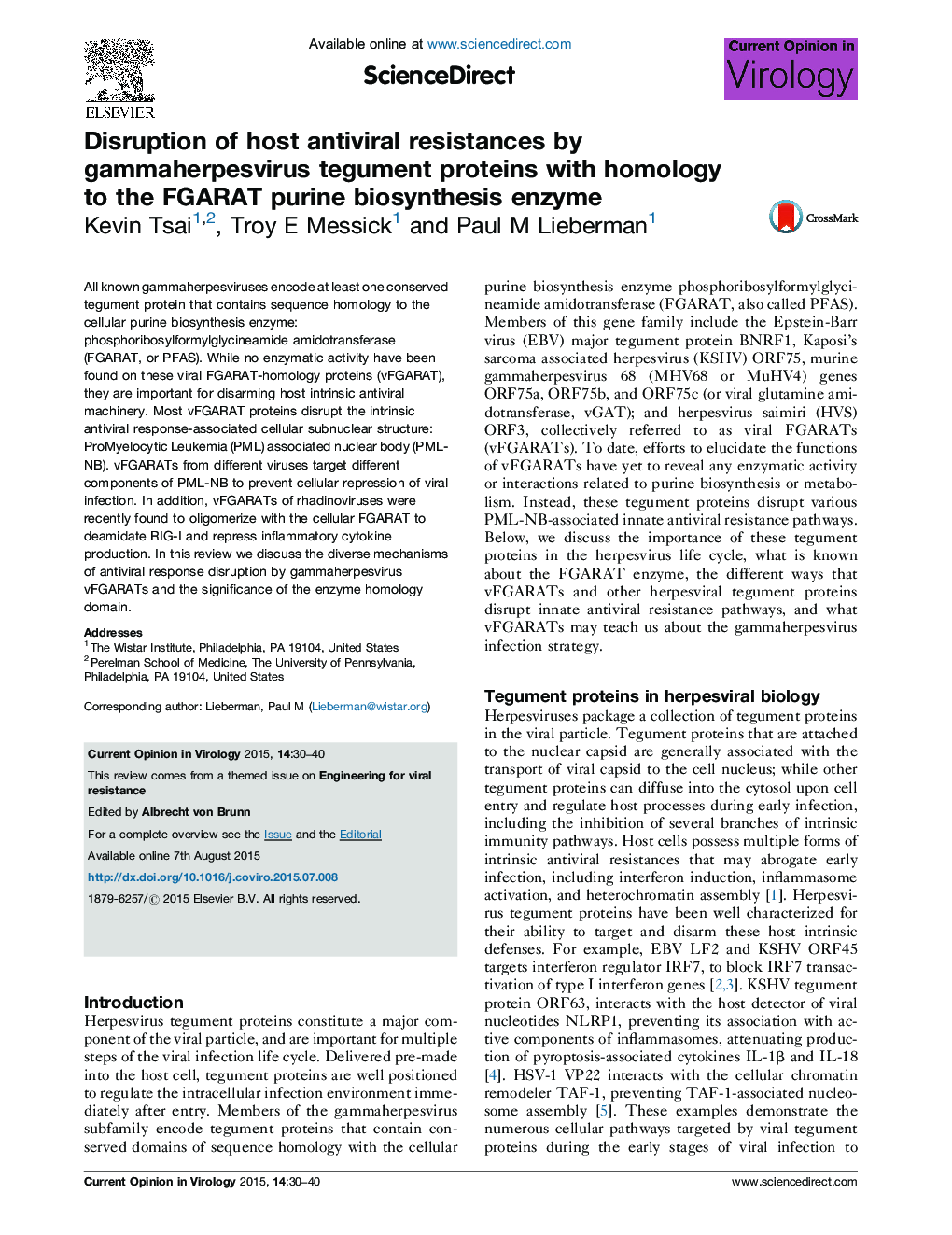 Disruption of host antiviral resistances by gammaherpesvirus tegument proteins with homology to the FGARAT purine biosynthesis enzyme