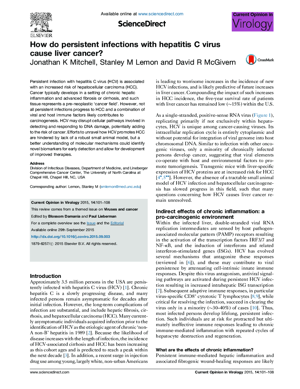 How do persistent infections with hepatitis C virus cause liver cancer?