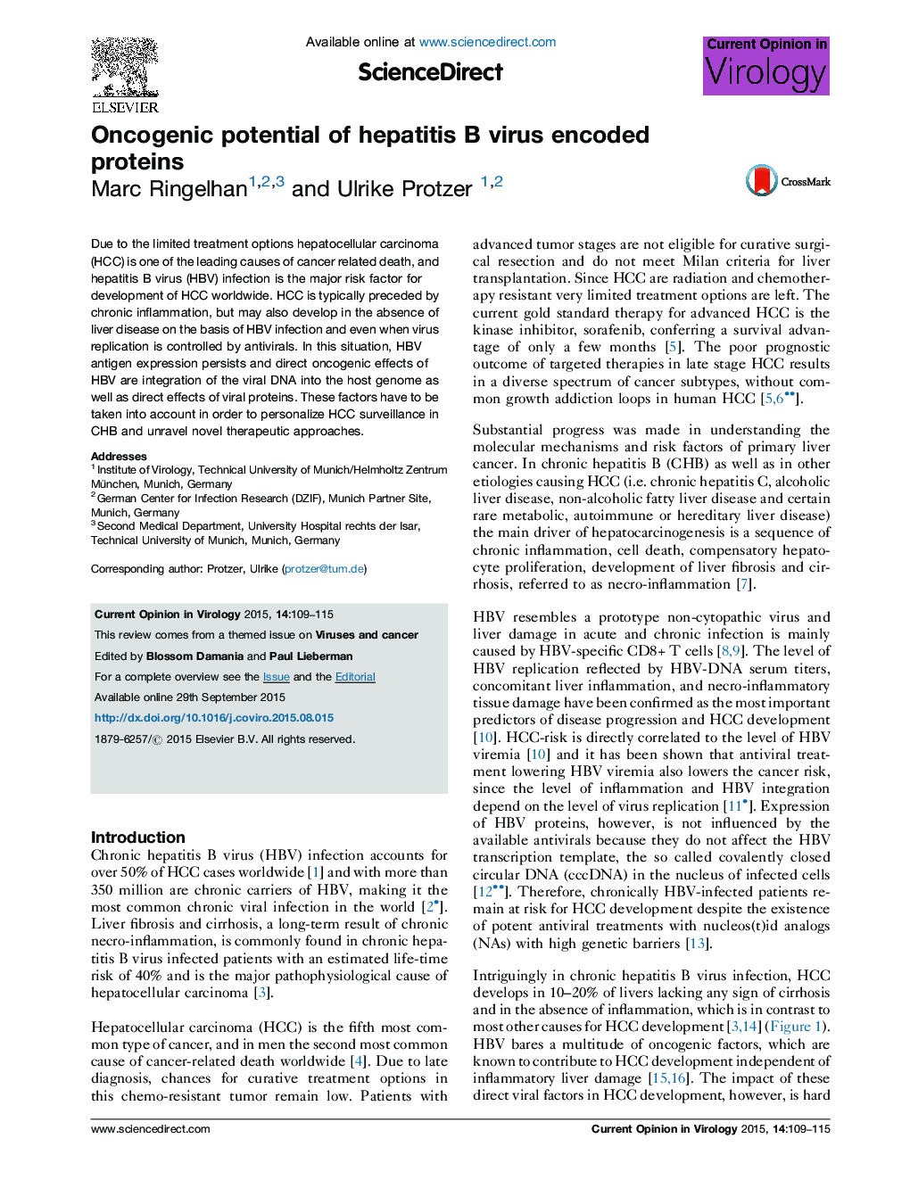 Oncogenic potential of hepatitis B virus encoded proteins