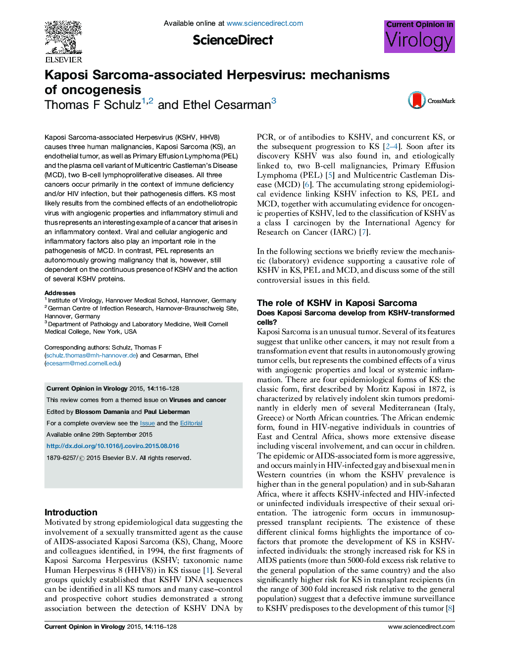 Kaposi Sarcoma-associated Herpesvirus: mechanisms of oncogenesis