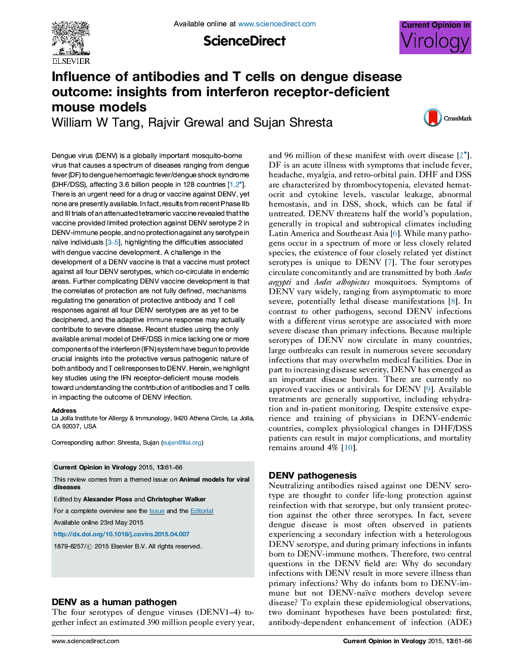 Influence of antibodies and T cells on dengue disease outcome: insights from interferon receptor-deficient mouse models