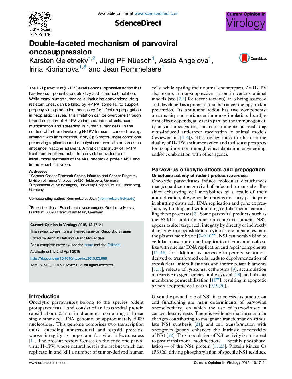 Double-faceted mechanism of parvoviral oncosuppression