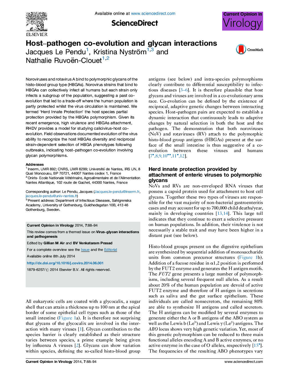 Host–pathogen co-evolution and glycan interactions