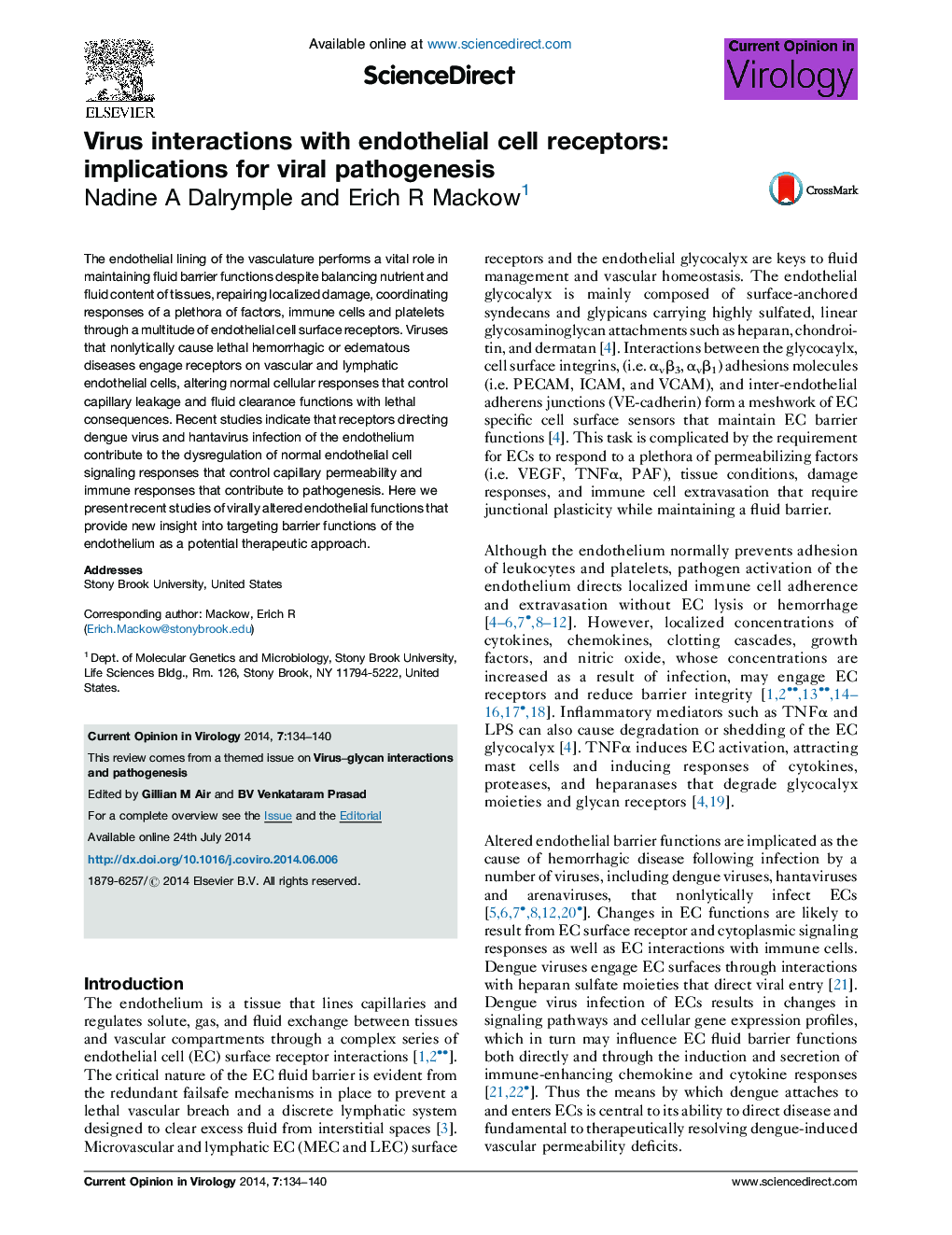 Virus interactions with endothelial cell receptors: implications for viral pathogenesis