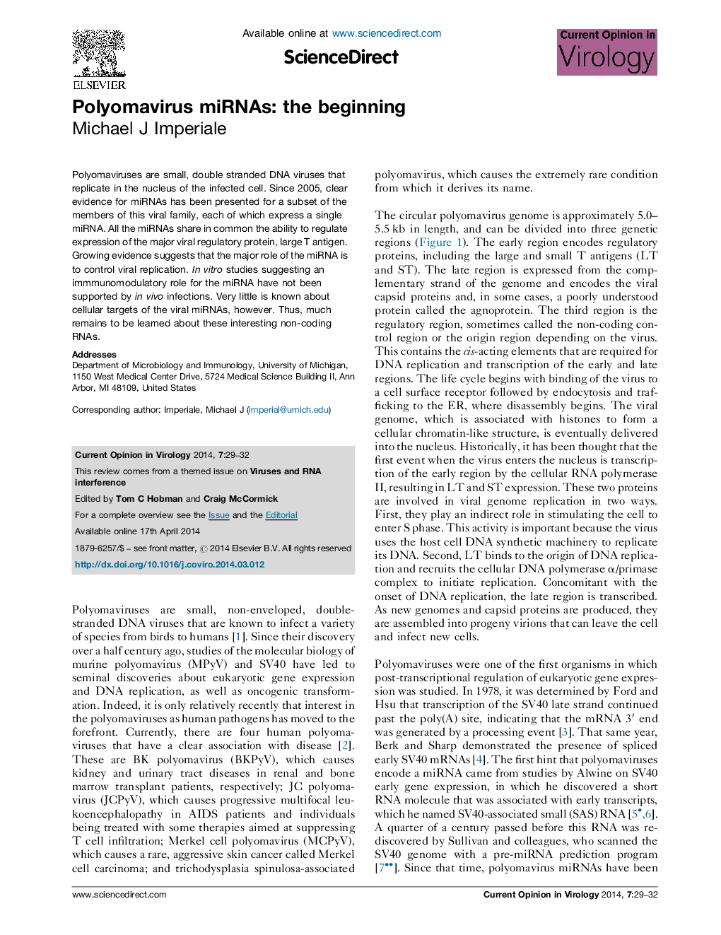 Polyomavirus miRNAs: the beginning