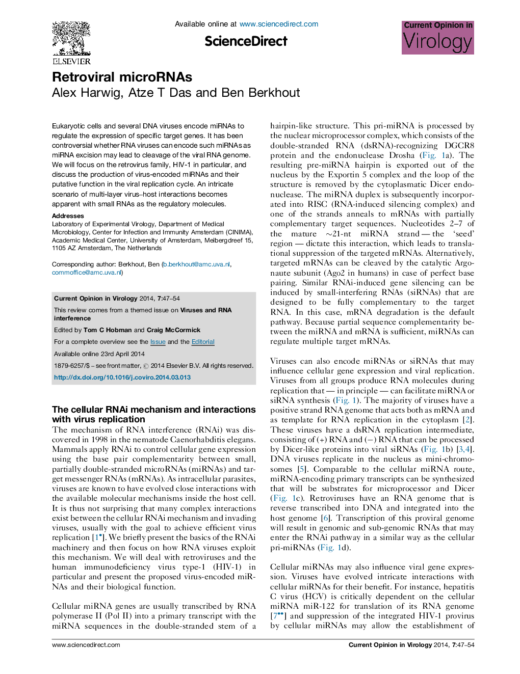 Retroviral microRNAs