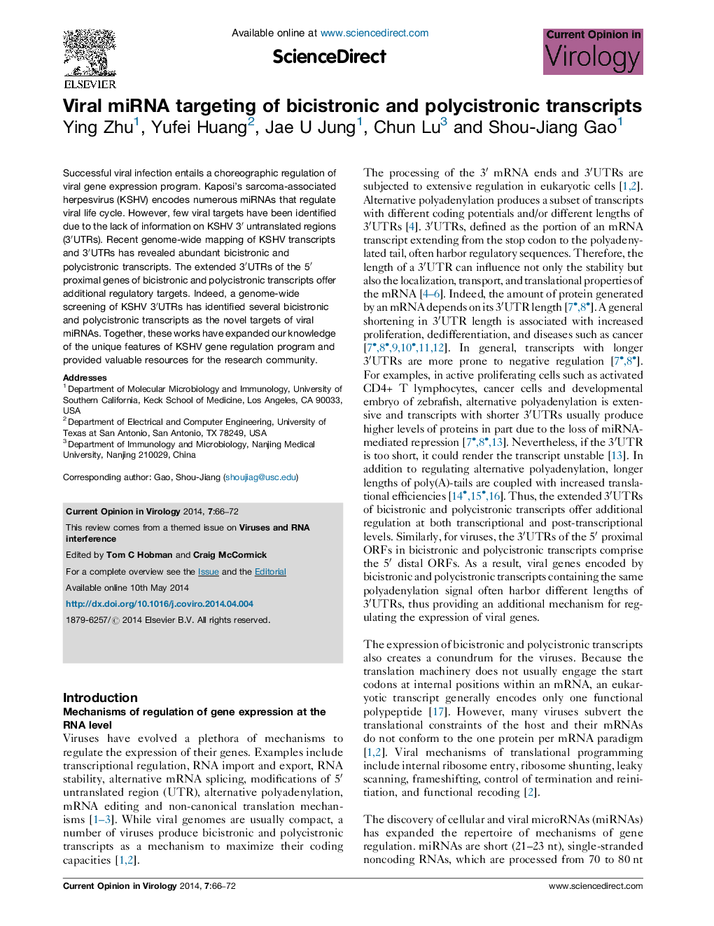 Viral miRNA targeting of bicistronic and polycistronic transcripts