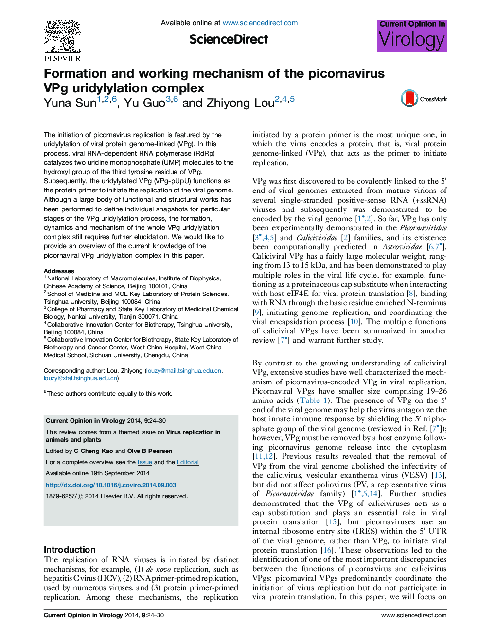 Formation and working mechanism of the picornavirus VPg uridylylation complex