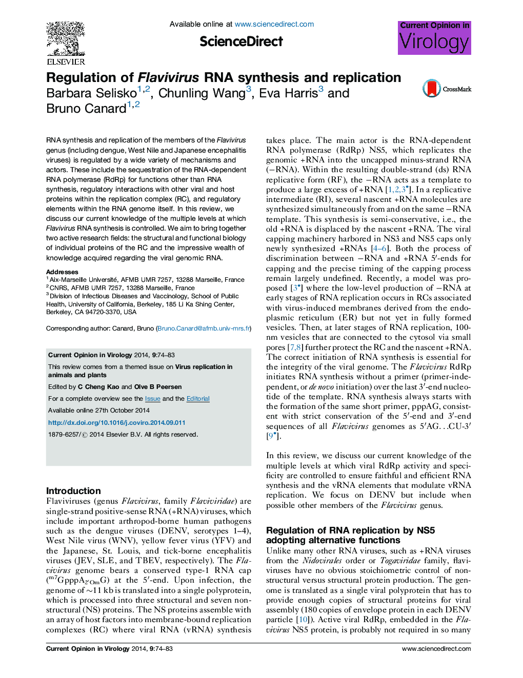 Regulation of Flavivirus RNA synthesis and replication