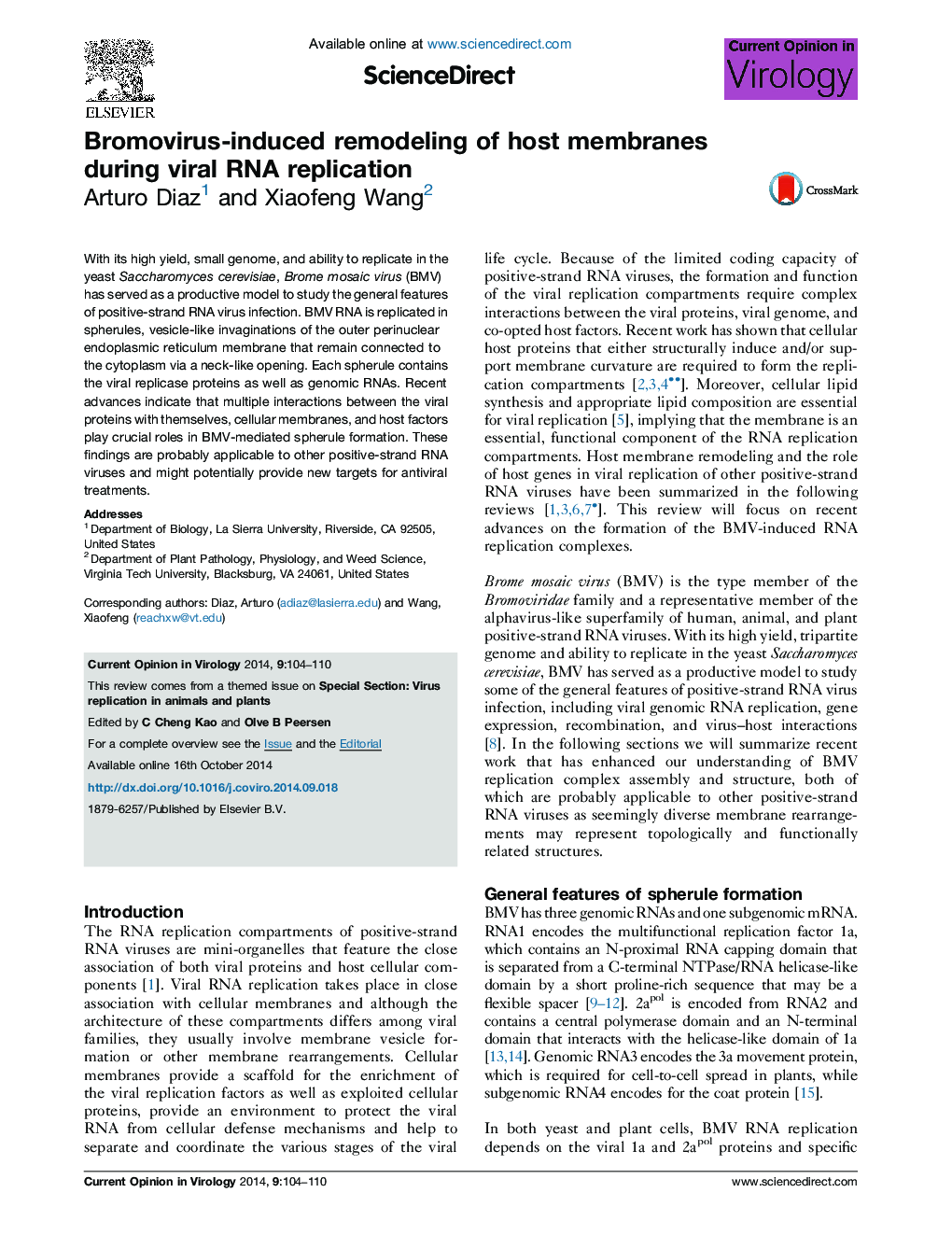 Bromovirus-induced remodeling of host membranes during viral RNA replication