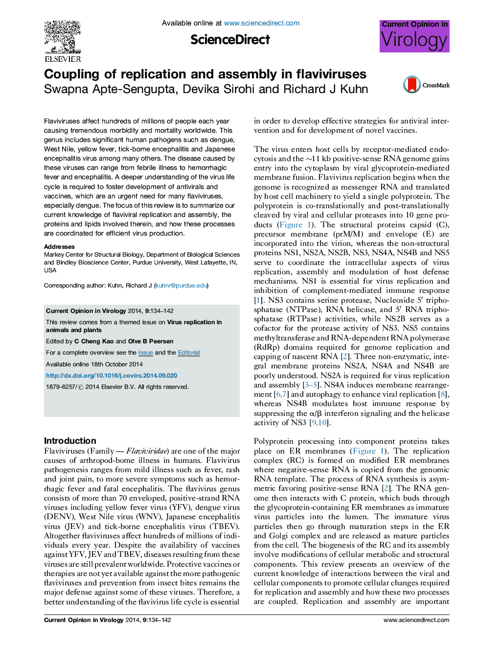 Coupling of replication and assembly in flaviviruses