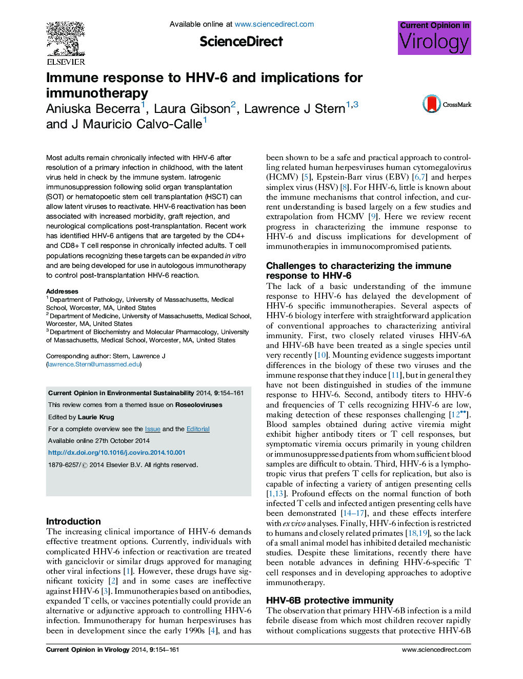 Immune response to HHV-6 and implications for immunotherapy