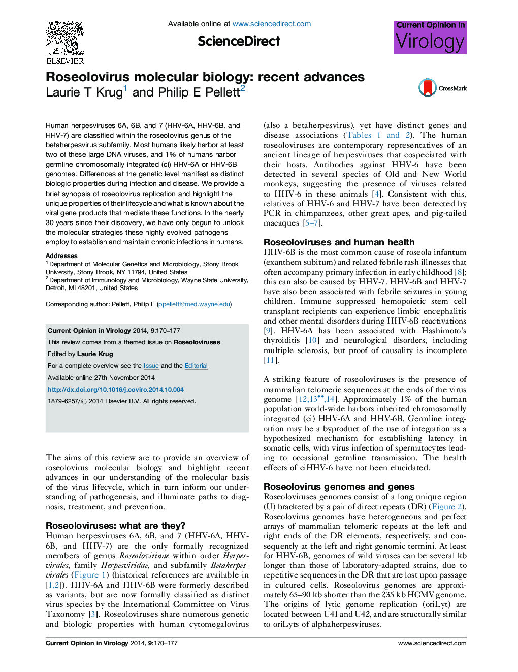 Roseolovirus molecular biology: recent advances