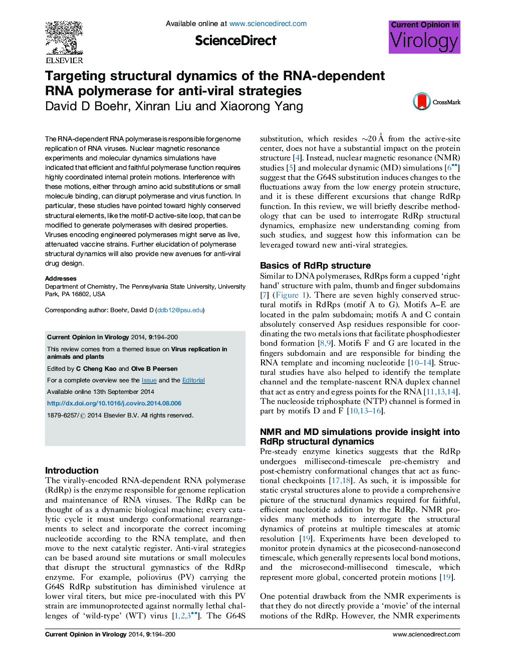 Targeting structural dynamics of the RNA-dependent RNA polymerase for anti-viral strategies