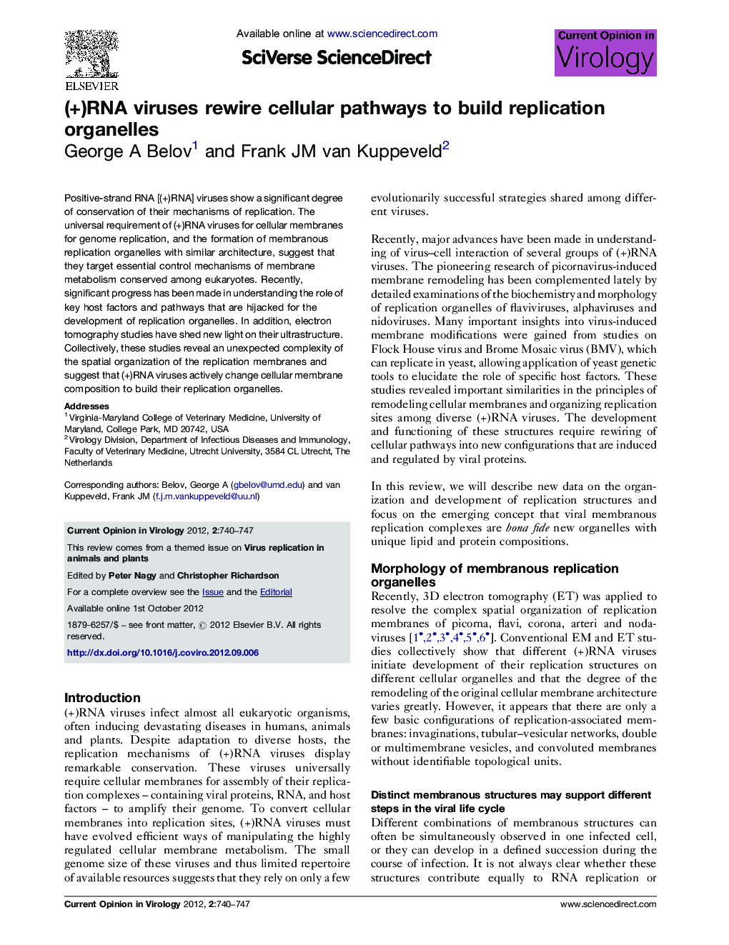 (+)RNA viruses rewire cellular pathways to build replication organelles