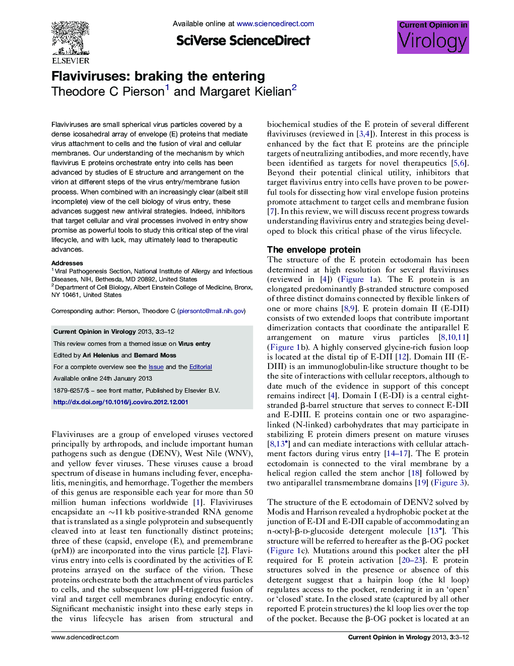 Flaviviruses: braking the entering