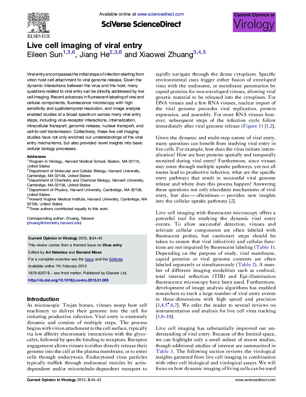 Live cell imaging of viral entry