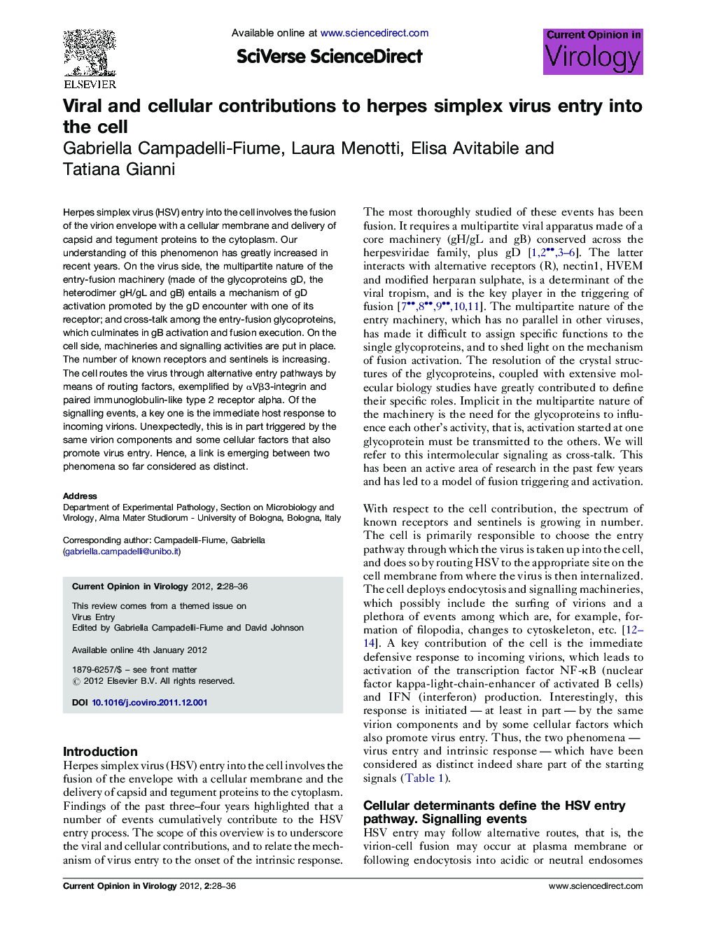 Viral and cellular contributions to herpes simplex virus entry into the cell