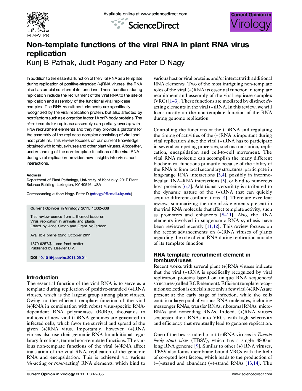 Non-template functions of the viral RNA in plant RNA virus replication