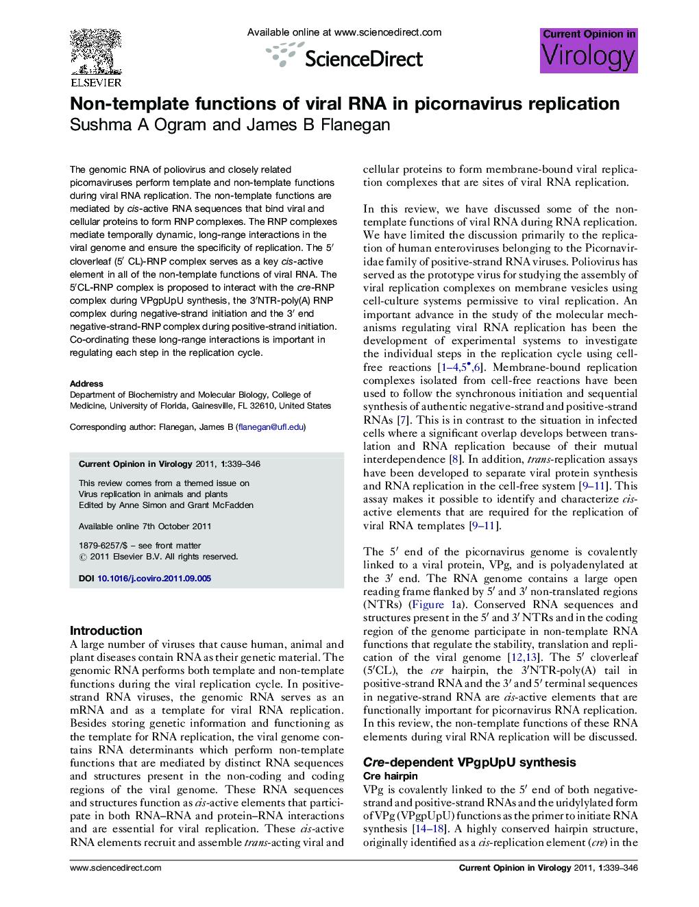 Non-template functions of viral RNA in picornavirus replication