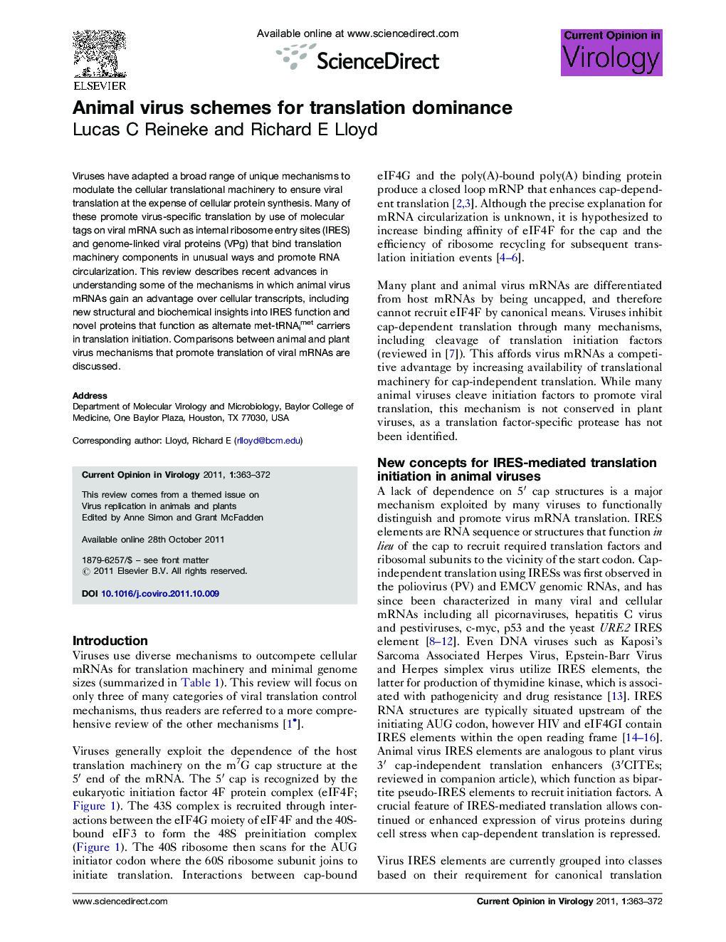 Animal virus schemes for translation dominance