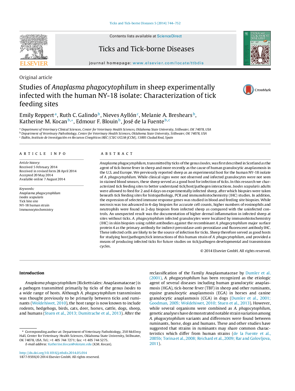 Studies of Anaplasma phagocytophilum in sheep experimentally infected with the human NY-18 isolate: Characterization of tick feeding sites