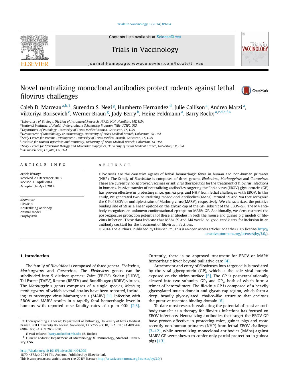 Novel neutralizing monoclonal antibodies protect rodents against lethal filovirus challenges