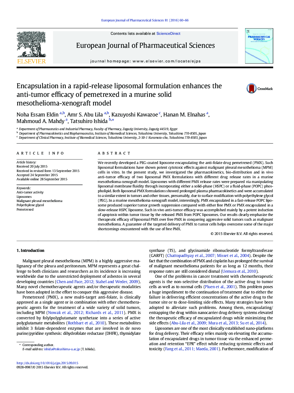 Encapsulation in a rapid-release liposomal formulation enhances the anti-tumor efficacy of pemetrexed in a murine solid mesothelioma-xenograft model