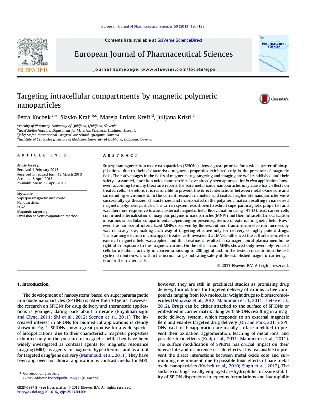 Targeting intracellular compartments by magnetic polymeric nanoparticles