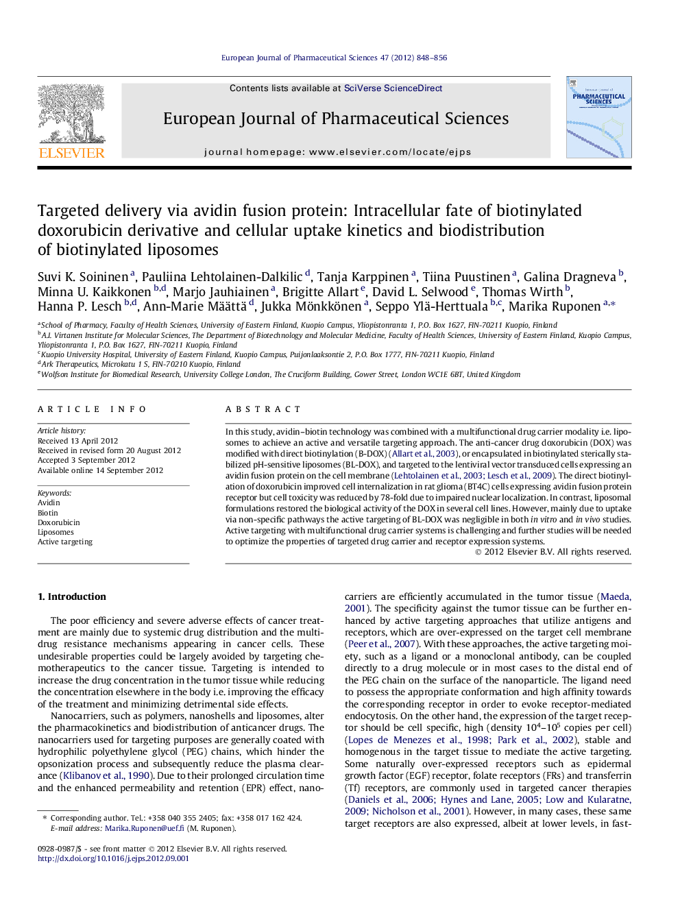 Targeted delivery via avidin fusion protein: Intracellular fate of biotinylated doxorubicin derivative and cellular uptake kinetics and biodistribution of biotinylated liposomes